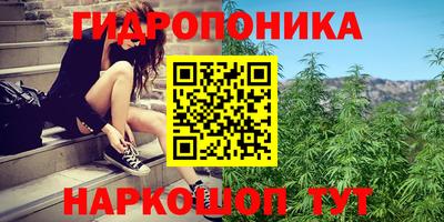 Альфа ПВП Будённовск