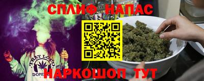 Альфа ПВП Будённовск